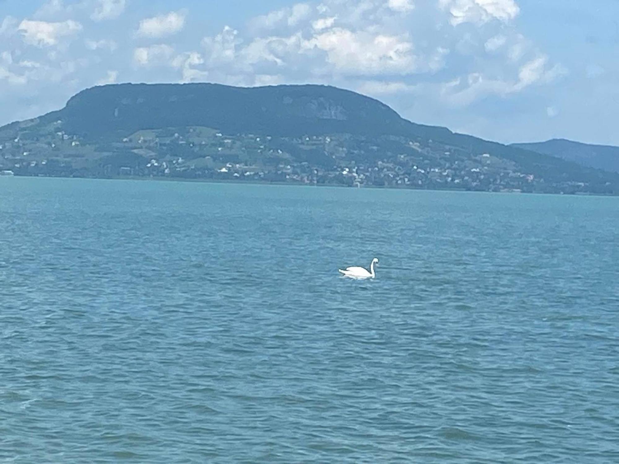 Villa Lipi - Home Away From Home Balatonszárszó Εξωτερικό φωτογραφία